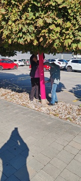Rožnati oktober na Ravnah (5)